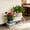 White, variant on 2 Tier White Plant Stand, Metal Flower Stand indoor Outdoor, Anti-Rust Iron Plant Shelf, Round Flower Pot Stands for Multiple Plants, Display Rack Potted Plant Holders for Garden Home Deco