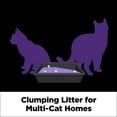 Arm & Hammer Platinum SLIDE Easy Clean, Clumping Litter, MultiCat, 37