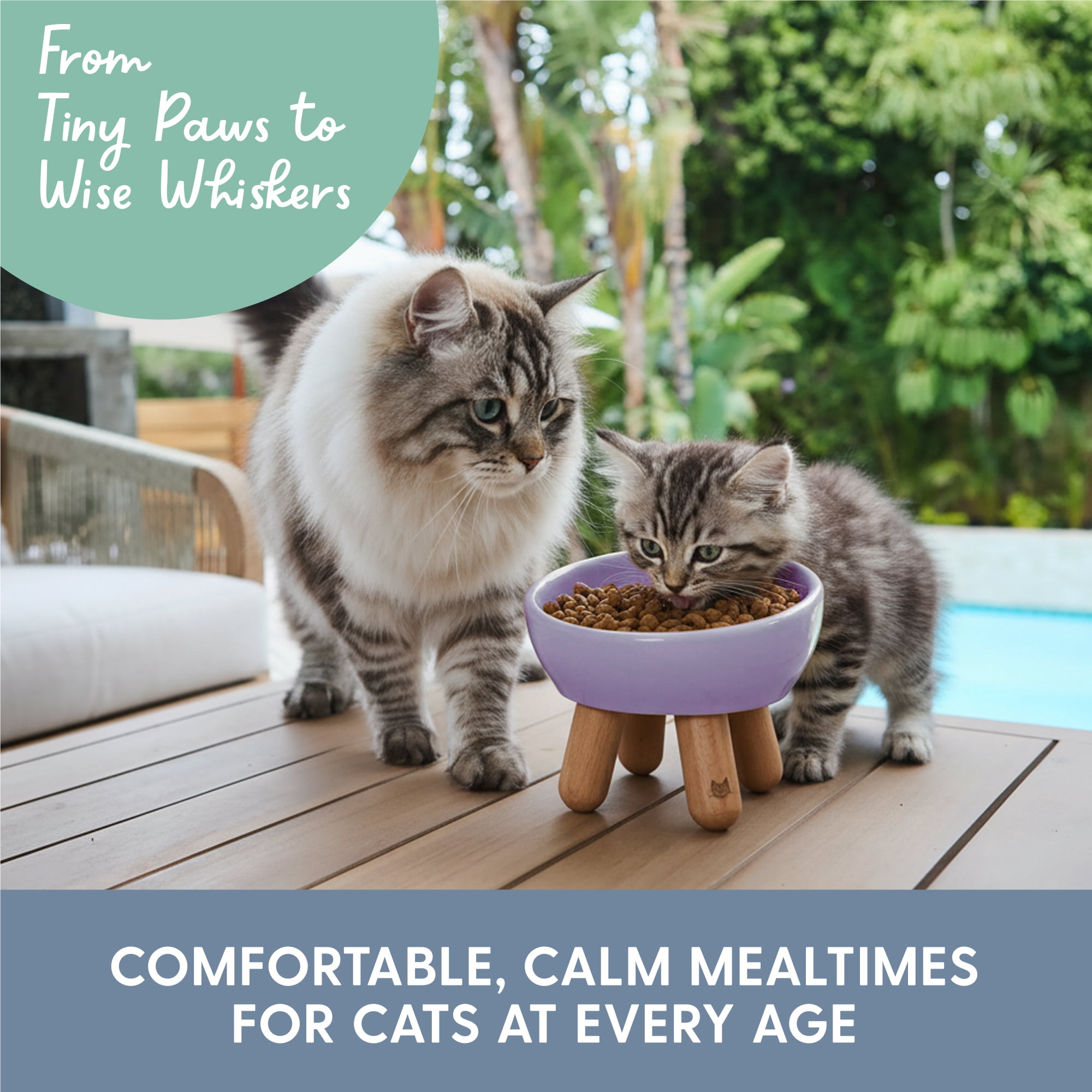 The Cat Ladies Tilted Ceramic Cat Bowl - Elevated Food Bowls Ceramic Pet Bowl - Raised Ceramics Bowls - Elevated & Tilted Design for Comfortable Eating - Lilac