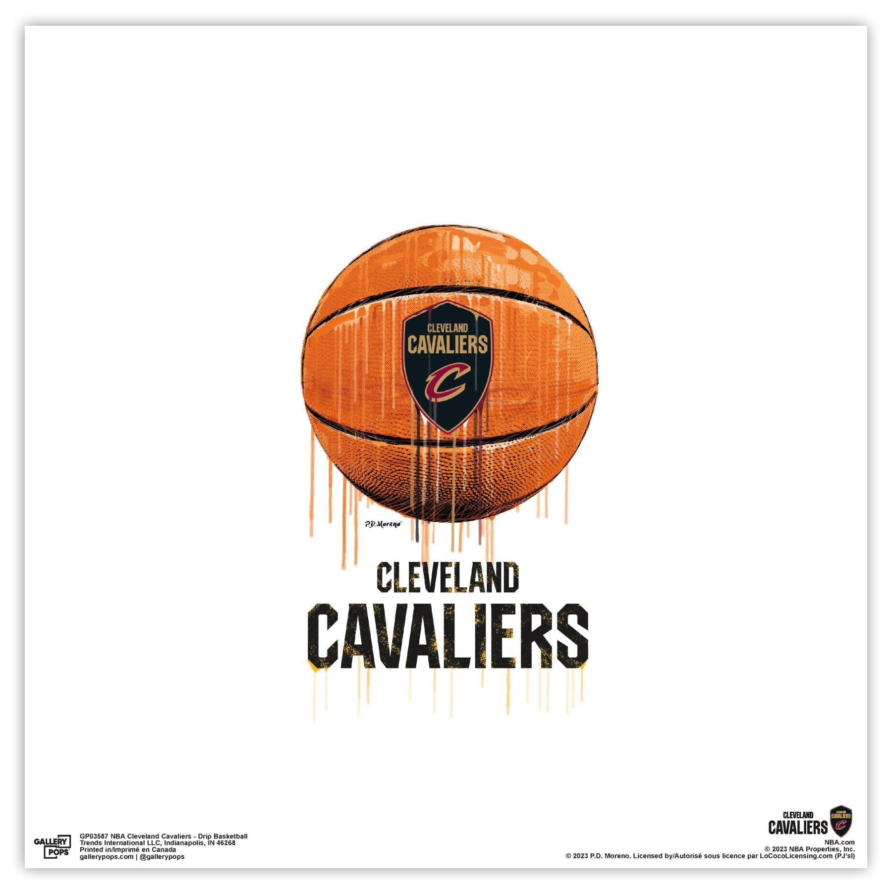 Gallery Pops NBA Cleveland Cavaliers - Drip Basketball Wall Art, Unframed Version, 12" x 12"