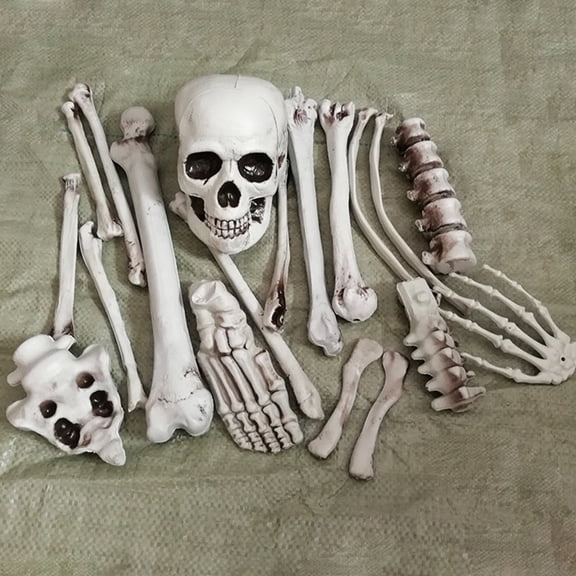 WRISTBIQUE Decoration Plastic Skeleton Bones 1 .7X2.8X1.6in