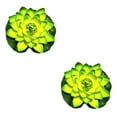 thumbnail image 2 of Redempat 1/2/3/5 EVA Artificial Lotus Solid Color Decorative Vivid Lifelike Simulation Park Pond Landscaping Fake Water Flower Green 2PCS, 2 of 6