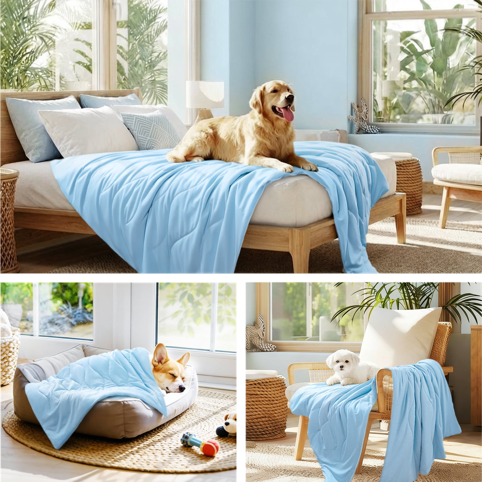 Luciphia Premium Cooling Dog Blanket Washable Q-MAX>0.5 Small Medium Large Pet Mat Puppy Cat Self-Cooling Soft Breathable Calming Throw for Sofa Crate Bed