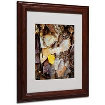 Trademark Fine Art "Birch Leaf" Canvas Art by Kurt Shaffer, Wood Frame