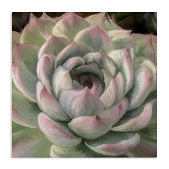 Stupell Industries Modern Succulent Leaves Close Up Canvas Art, 36 x 36, by Amy Hall