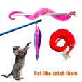 thumbnail image 2 of Shengsen Paquete De 200 Juguetes De Gusanos Peludos Con Tamaños Grandes Y Pequeños, Gusanos Peludos Mezclados En Cuerdas, Juguetes Para Trucos, Regalos De Fiesta De Carnaval Para Niños Y Gatos (10 Col, 2 of 5