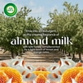 thumbnail image 4 of Air Wick Vibrant Plug-In Scented Oil Air Freshener Warmer Refills, Almond Milk and Honey, 2 Count, 4 of 13