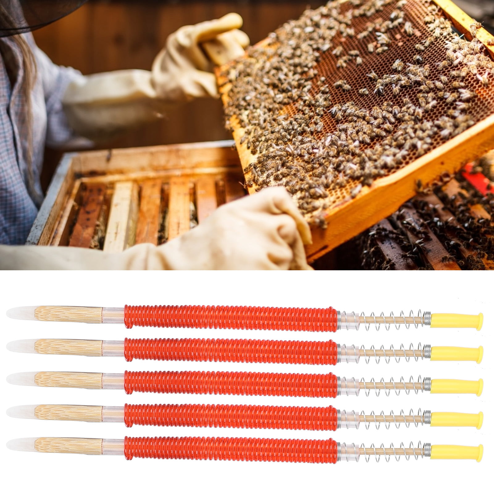 Details about   Useful Beekeeping Tool Bee Needle Convenient 10Pcs Grafting Rearing Tool YS 