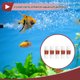 thumbnail image 2 of Ofertas Únicas 5 Pcs Accesorio de Manguera de Barbilla de Plástico para Acuario Válvula de Retención en Línea de 1.1" de Un Solo Sentido Accesorios de Manguera de Barbilla Plástico Claro Rojo, 2 of 7