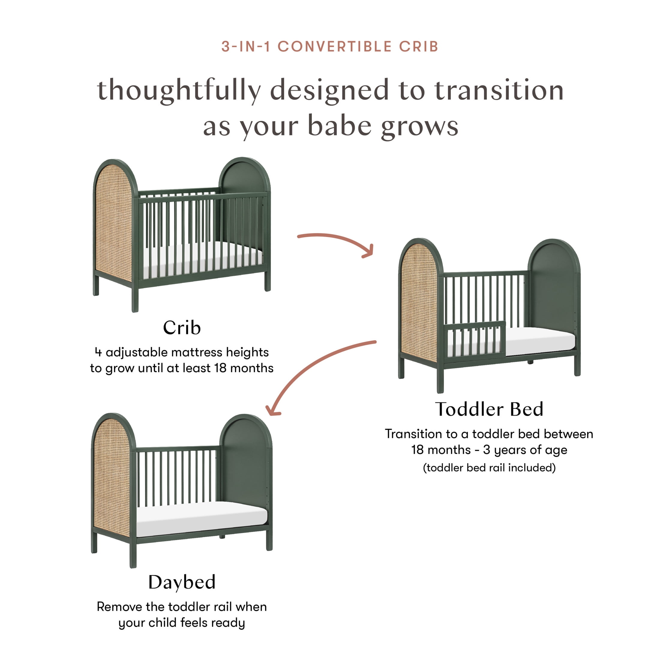 Babyletto Bondi Cane 3-in-1 Convertible Crib with Toddler Bed Conversion Kit