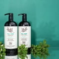 thumbnail image 7 of Soapbox Tea Tree Cleansing Shampoo & Conditioner Set with Tea Tree, 2 Piece, 7 of 7