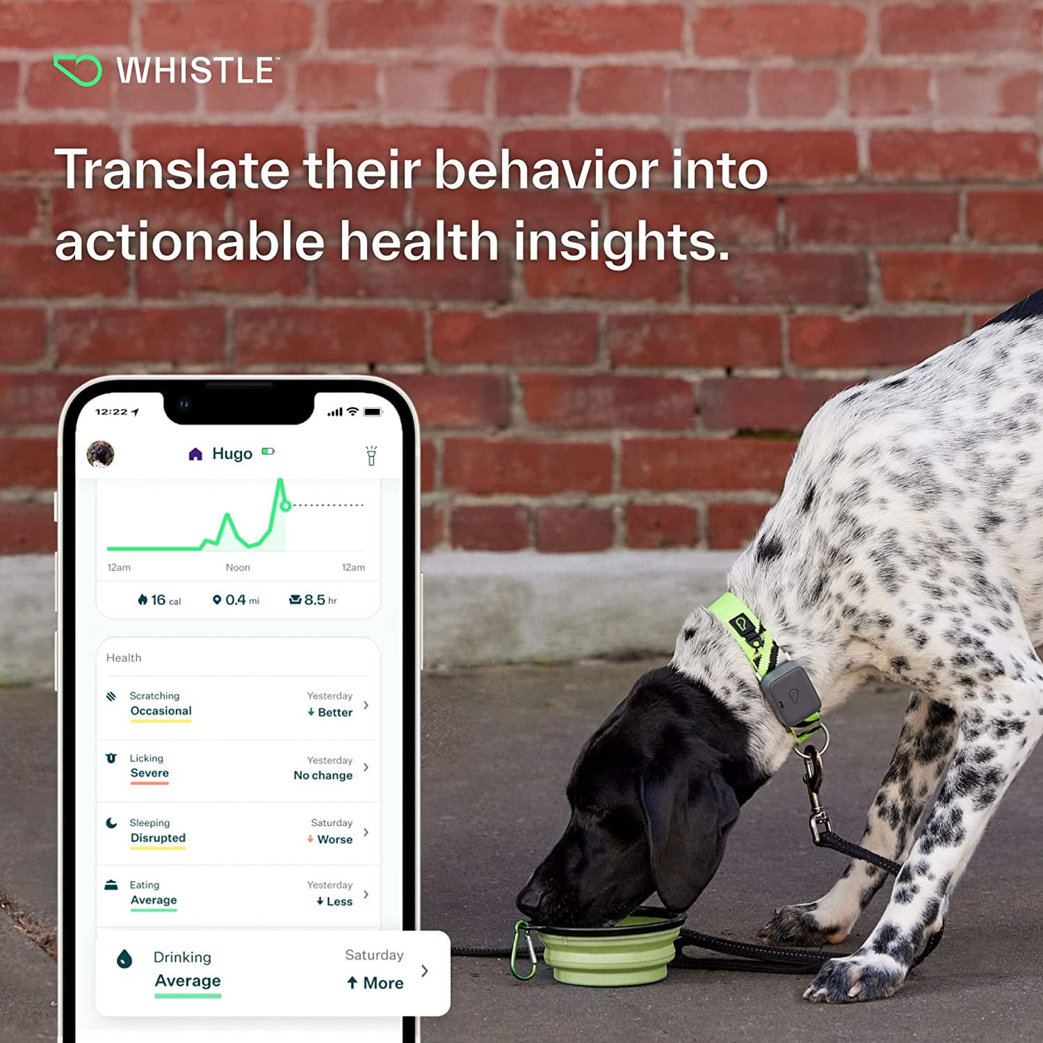 Whistle Go Explore Dog GPS Tracking Device and Pet Health Monitoring System, Grey | Fits Most Collars