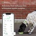 thumbnail image 5 of Whistle Go Explore Dog GPS Tracking Device and Pet Health Monitoring System, Grey | Fits Most Collars, 5 of 9
