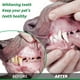 thumbnail image 4 of Polvo para limpiar dientes en escamas para perros y gatos | Ingredientes naturales de algas | Alternativa a la pasta dental para eliminar el sarro | Agente blanqueador dental para un aliento fr, 4 of 5