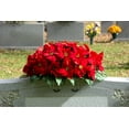 thumbnail image 4 of Sympathy Silks Artificial Christmas Cemetery Flowers 30" Red Poinsettias Saddle for Headstone, 4 of 8
