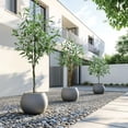 thumbnail image 4 of Ataucjin 4/5/6FT 1PCS Artificial Ficus Tree Artificial Eucalyptus Tree Plant Modern Tall Faux Plants In Pot Fake Silk Tree Indoor For Home Office Decor, 4 of 5