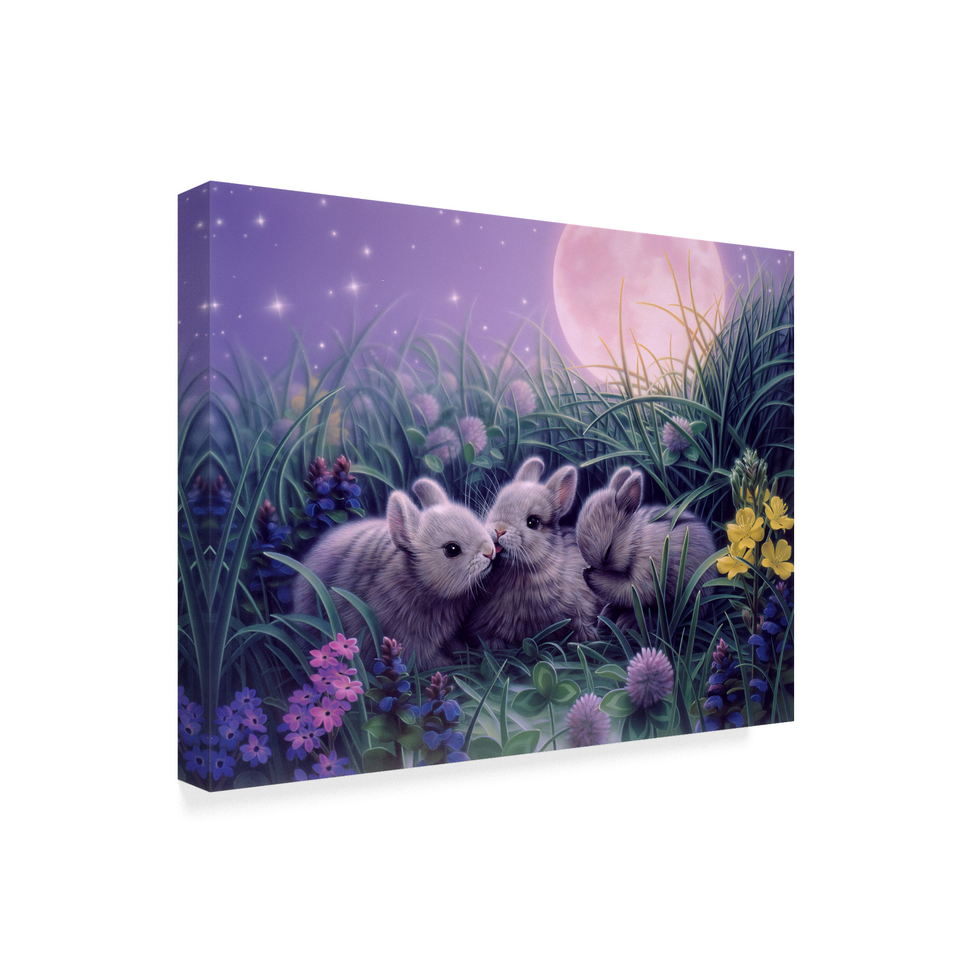 Trademark Fine Art 'Moon Babies' Canvas Art by Kirk Reinert