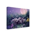 thumbnail image 2 of Trademark Fine Art 'Moon Babies' Canvas Art by Kirk Reinert, 2 of 3