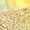 Gold, variant on Miluxas Jelly Shoes Girls Dress Flats Mary Jane Birthday Party Dance Summer Beach Glitter Soft White 11.5(29)