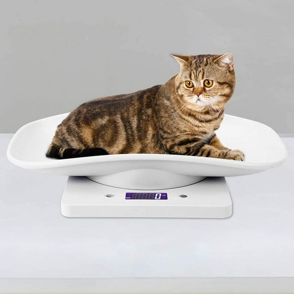 10kg/1g Digital Small Pet Scale Can Accurately Measure Cats and Dogs, Animal Measuring Tool Electronic Kitchen Scale
