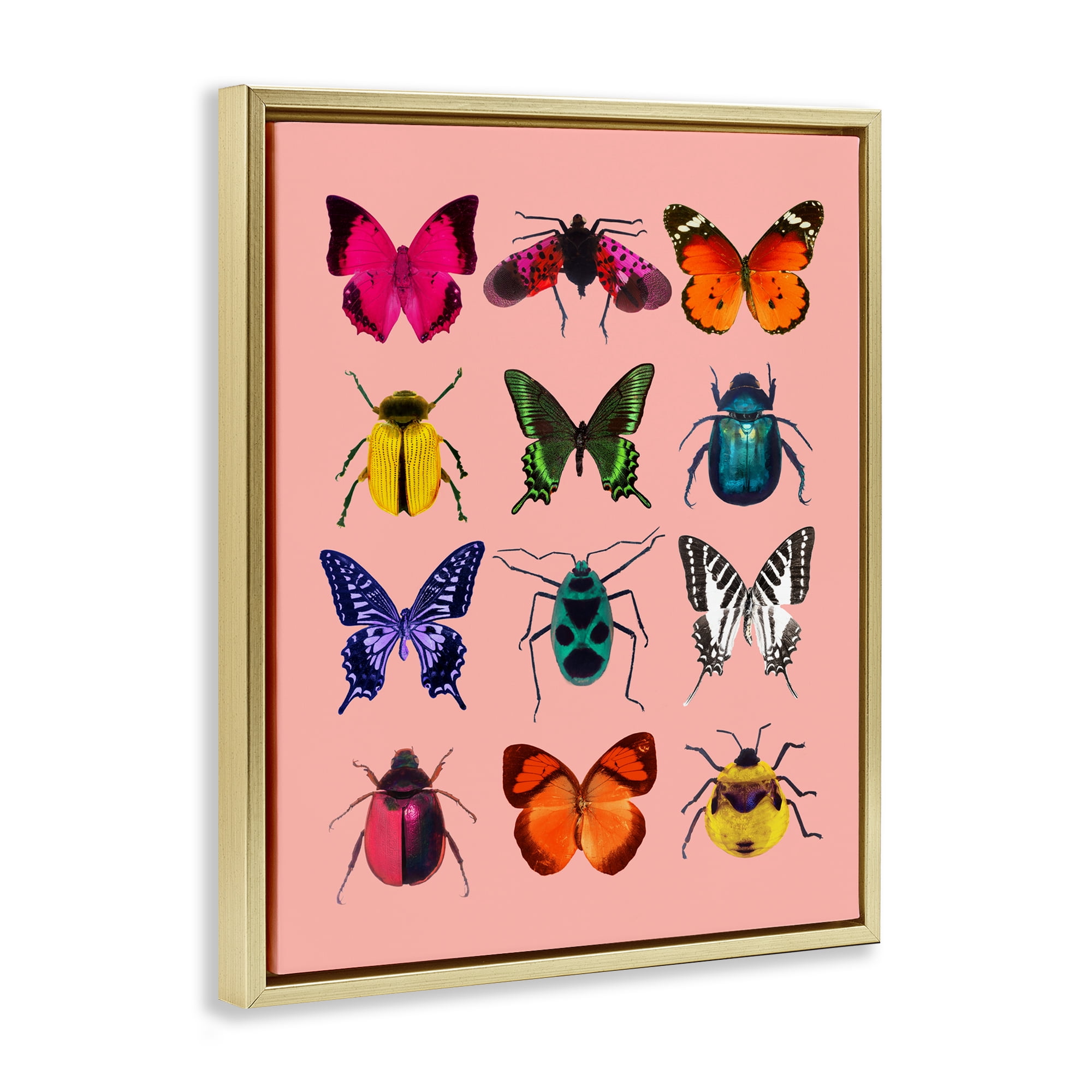 Colorful Bug Species on Pink Gold Framed Floater Canvas Wall Art, design by LISH Creative