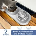 thumbnail image 5 of Ptlom Elevated Stainless Steel Pet Food Bowl with Stands, Raised Dog Cat Feeding Bowls Set Suitable for Cats and Small Dogs, Gray, 5 of 9