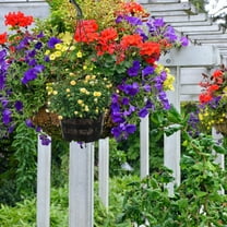 HOMEMAXS  5 Sets Faux Orchid Hanging Planters for Indoor Plants Pot Reusable