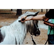 Aqua Comb for Horses - Instantly Wets Tail & Mane - Cleaning, Massager, Deshedding, Grooming Tool - Great For Wound & Skin Care, Detangling Hair & Fur, Rescue Animals
