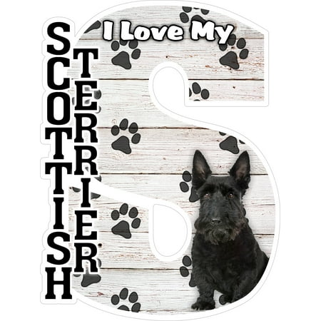 

I Love My Scottish Terrier Fridge Magnet