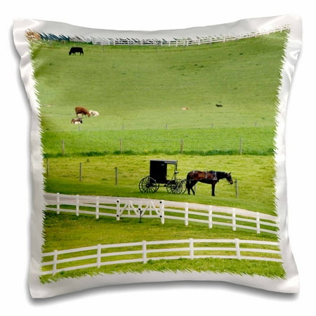 3dRose Amish farm with horse buggy near Berlin, Ohio - US36 DFR0008 - David R. Frazier, Pillow Case, 16 by 16-inch