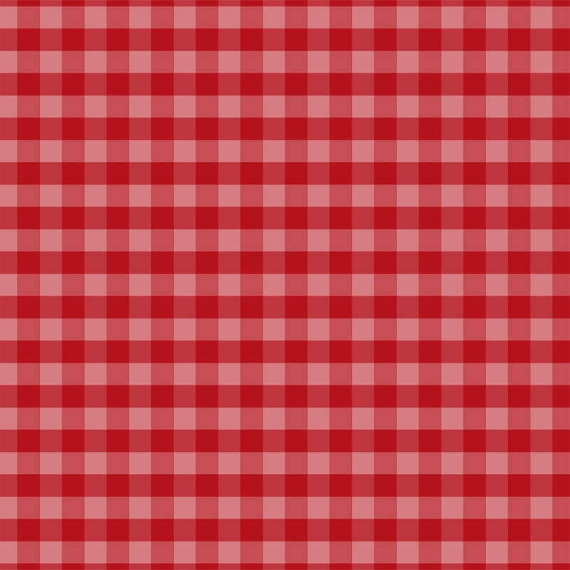 Dark Red Gingham Paper Christmas Gingham Echo Park