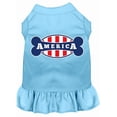 thumbnail image 1 of Bonely In America Screen Print Dress Baby Blue 4X (22), 1 of 1