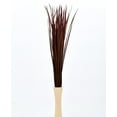thumbnail image 5 of Leewadee Tall Vase Filler, Natural Grass Stems – 2 Bunches Of Colored Branches for Vases, Carefully Dried Twigs for Home and Bar Decoration,  Bordeaux, 5 of 9