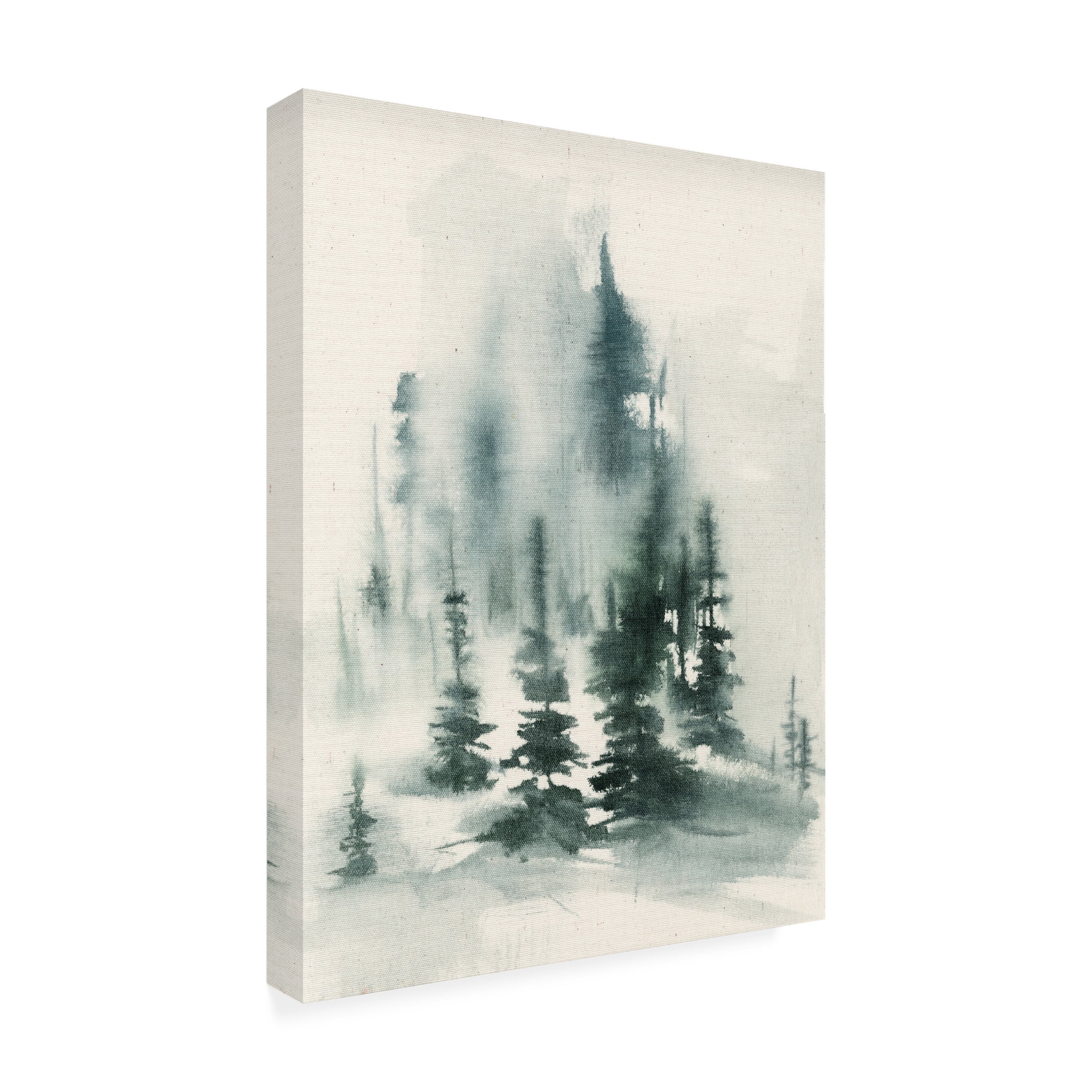 Jennifer Goldberger 'Misty Winter I' Canvas Art