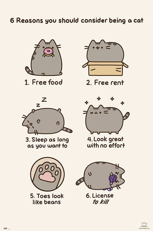 Pusheen The Cat - Poster / Print (6 Reasons You Should Consider Being A