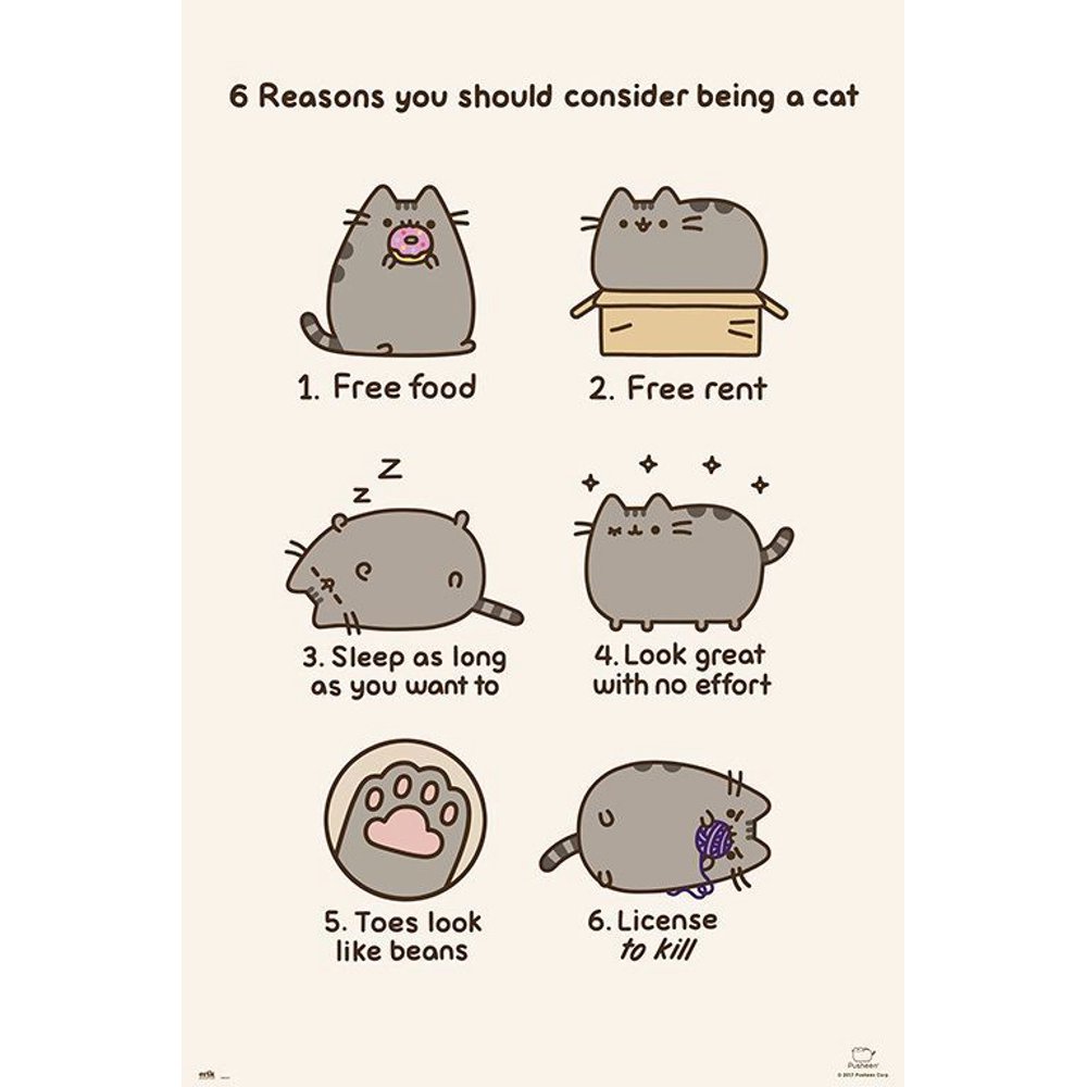 Pusheen Poster