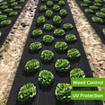 thumbnail image 3 of Weed Barrier Landscape Fabric Heavy Duty, Road Fabric Commercial Weed Barrier Fabric, Weed Control Fabric Ground Cover, Gardening Mat for Garden Beds, Landscaping, 3 of 7
