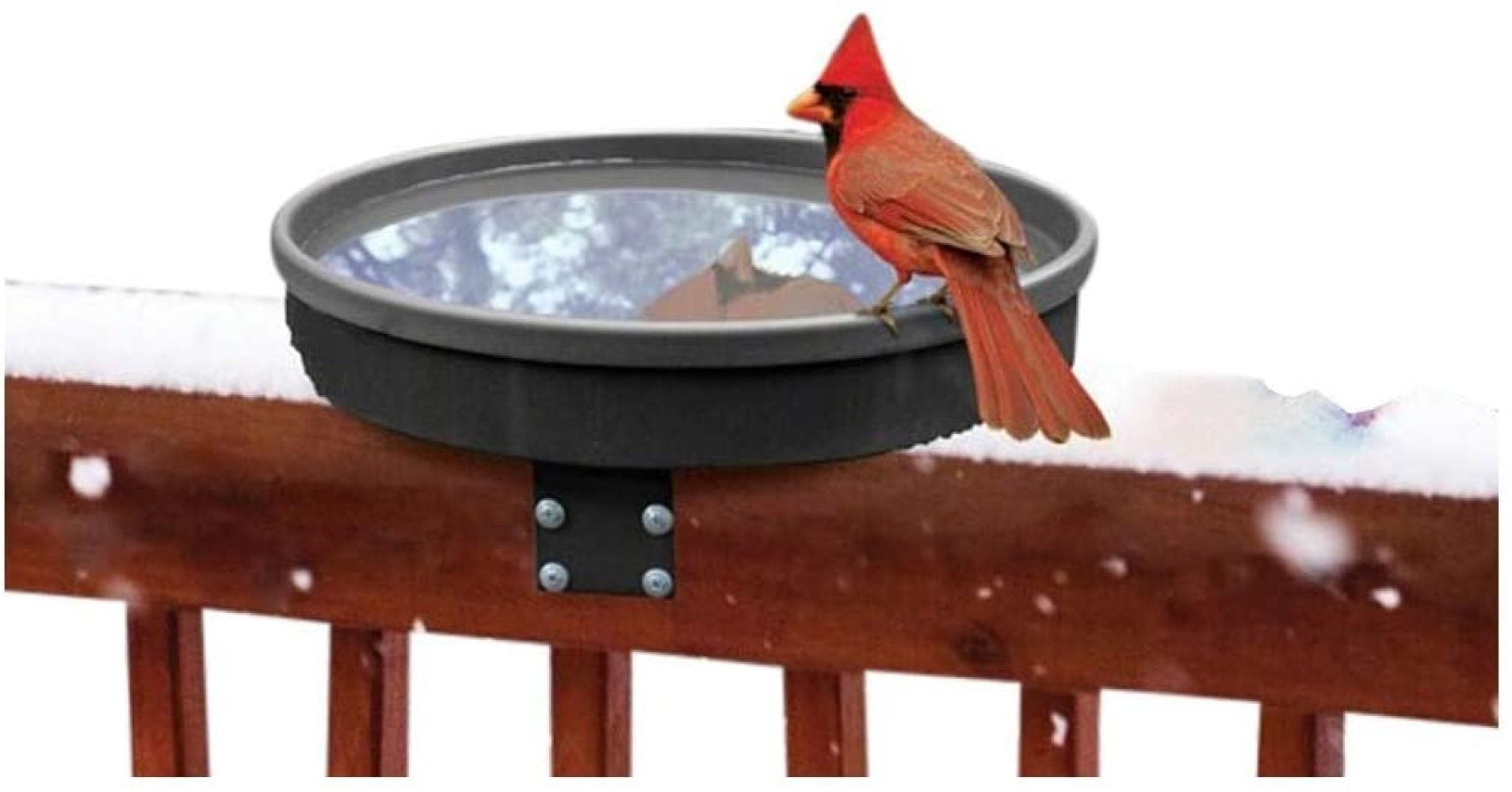 Bird Bath Raft by Songbird Essentials 