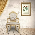thumbnail image 3 of Weinmann, Johann W. 21x32 Gold Ornate Wood Framed with Double Matting Museum Art Print Titled - Aster, Plate 190, 3 of 4
