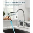 thumbnail image 2 of LED Kitchen Faucet with Soap Dispenser, Brushed Nickel Stainless Steel Traditional Spring Commercial Pull Out Sink Faucet with Pull Down Sprayer for Laundry RV Camper Bar Farmhouse Laundry, 2 of 11