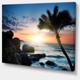 thumbnail image 2 of Lonely Palm Tree on Rocky Beach, 2 of 3