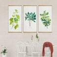 thumbnail image 2 of wall26 Hanging Poster with Wood Frames Beautiful Green Plants Home Wall Poster Prints Ready to Hang - 18"x36"x3 Panels, 2 of 4