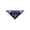 Purple, variant on Twfbrm Halloween Dog Bandanas, Ghost & Bat Print Triangle Fabric Pet Scarf for Boys and Girls, Adjustable Reversible Neckerchief Washable Puppy Bibs Halloween Pet Costume for Cats and Dogs