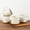 Beige, variant on Ceramic Coffee Mugs Set of 2, 24oz Large Coffee Mugs Set with Terracotta Underside for Latte///Hot Cocoa/Cappuccino/Soup Dishwasher & Microwave Safe-light Beige &White