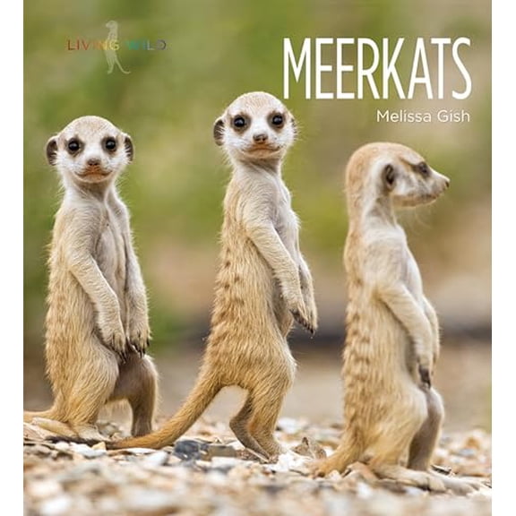 Pre-Owned Meerkats (Paperback) 1628321709 9781628321708