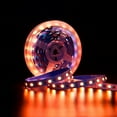 thumbnail image 5 of 5M SMD5050 RGBW RGBWW LED Strip 12V 24V  RGB White RGB Warm White, 4 Color in 1 LED Chip,60 LED/M IP20 IP65  Waterproof LED Tape, 5 of 6