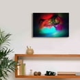 thumbnail image 6 of Epic Graffiti 'Color In The Lines 25' by Irena Orlov, Giclee Canvas Wall Art, 18"x12", 6 of 8