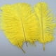 thumbnail image 3 of Plumas de avestruz naturales CHAO color amarillo 15-20cm para decoración, 3 of 4