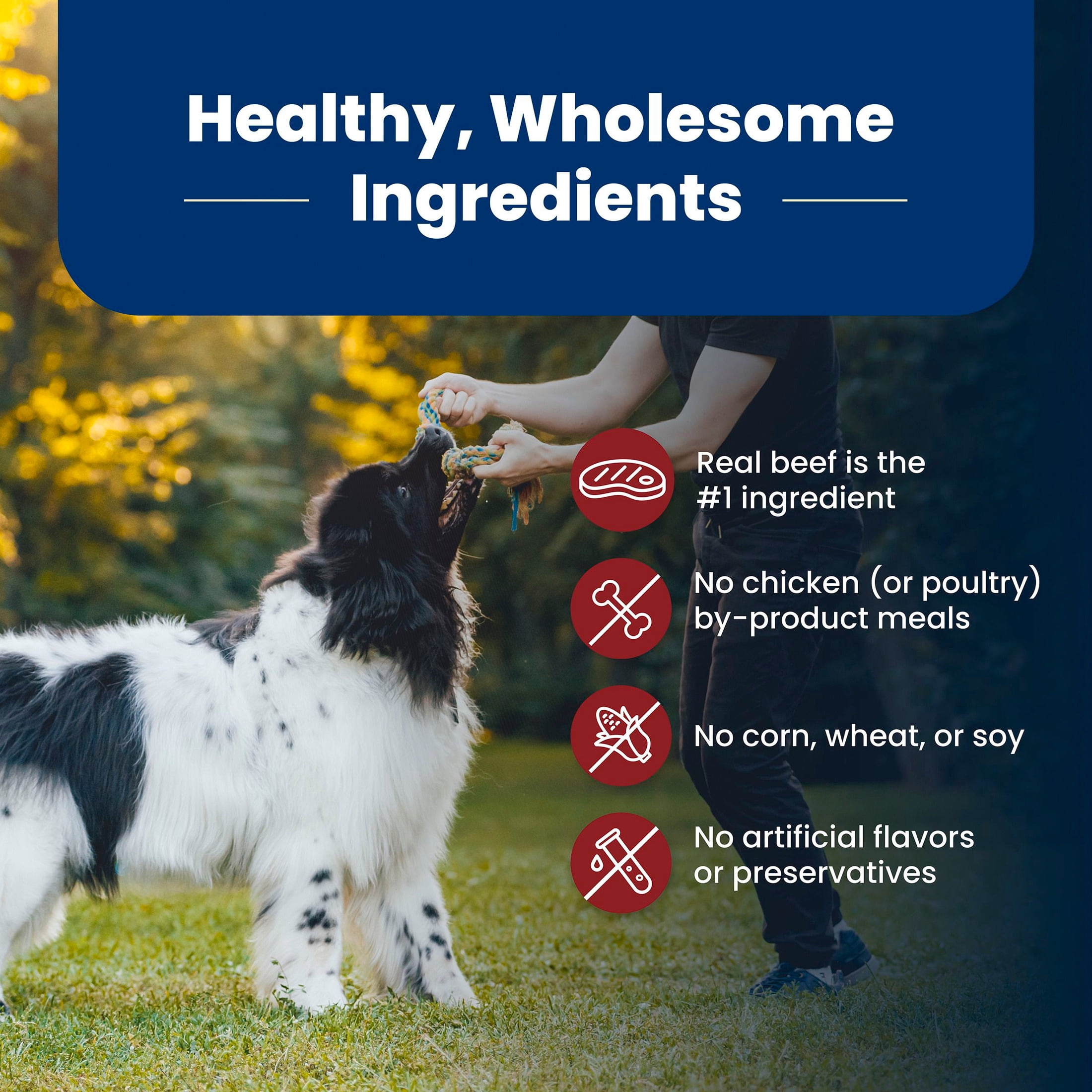 Blue Buffalo Life Protection Formula Adult Dry Dog Food, Beef & Brown Rice, 30lb Bag