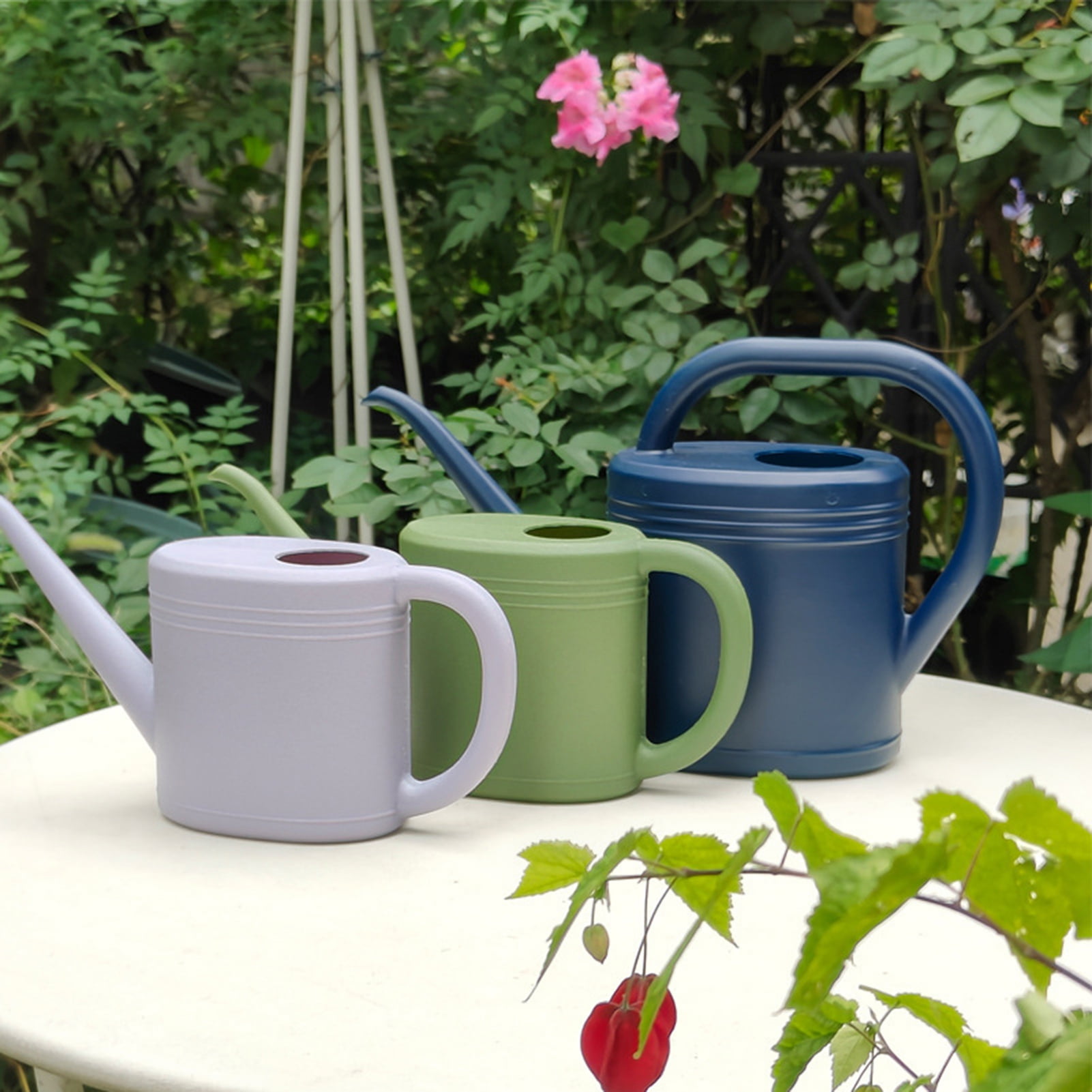 Hyasfey 1L/2L Watering Can Garden Watering Can with Removable Shower Head Handheld Outdoor Watering Can for Greenhouse Plants Flowers